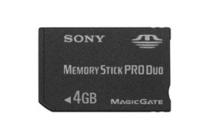 Memory Stick (MS)
