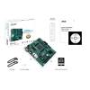 Asus PRO A520M-C II/CSM