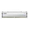 Klevv 32GB DDR5 5600MHz Kit(2x16GB) Fit V for AMD Ceramic White KD5AGU880-56K300F