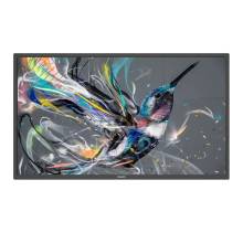 Philips 31,5" 32BDL3511Q LED Display 32BDL3511Q/00