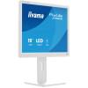 iiyama 19" ProLite B1980S-W1 LED B1980S-W1