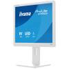 iiyama 19" ProLite B1980S-W1 LED B1980S-W1