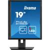 iiyama 19" ProLite B1980S-B1 LED B1980S-B1