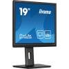 iiyama 19" ProLite B1980S-B1 LED B1980S-B1