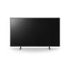 Sony 55" FW-55EZ20L IPS LED Display FW-55EZ20L