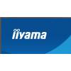 iiyama 23,8" ProLite X2491HS-B1 IPS LED X2491HS-B1