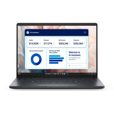 Dell Pro 13 Premium Magnesium Black PA13250-17
