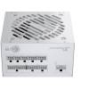 Seasonic 850W 80+ Gold Core GX 850 White SRP-CGX851-A5A32SF-W