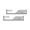 G.SKILL 64GB DDR5 6000MHz Kit(2x32GB) Flare X5 White F5-6000J3636F32GX2-FX5W
