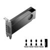 PNY RTX PRO 2000 Blackwell 16GB DDR7 VCNRTXPRO2000-PB