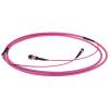 ACT Multimode 50/125 OM4(OM3) polarity A fiber trunk cable with MTP/MPO female connectors 25m Pink DC5000