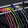 Startech CAT6 U-UTP Patch Cable 0,25m Purple N6PAT25CMPLS