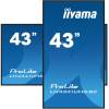 iiyama 43" ProLite LH4341UHS-B2 IPS LED Display LH4341UHS-B2