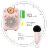 Divoom Fairy-OK Bluetooth Speaker+Microphone Pink FAIRY-OK_PINK