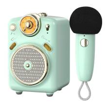 Divoom Fairy-OK Bluetooth Speaker+Microphone Green FAIRY-OK_GREEN