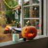 Divoom Fairy-OK Bluetooth Speaker+Microphone Green FAIRY-OK_GREEN