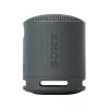 Sony SRSX-B100 Bluetooth Speaker Black SRSXB100B.CE7