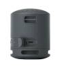 Sony SRSX-B100 Bluetooth Speaker Black SRSXB100B.CE7