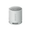 Sony SRSX-B100 Bluetooth Speaker Light Grey SRSXB100H.CE7