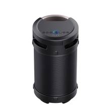 Vivax BS-700 Bluetooth Speaker Black BS-700
