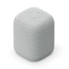 Sony SRS-LS1 LinkBuds Portable Wireless Speaker Light Gray SRSLS1H.CE7