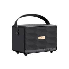 HAVIT Gamenote SK907BT Portable Mini Active Speaker Black SK907BT (CZARNY)