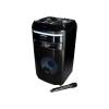 Blaupunkt PS6 Party speaker with Bluetooth and karaoke Black PS6