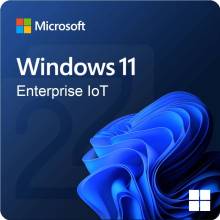 Microsoft Windows 11 IoT Enterprise LTSC 2024 64Bit ENG OEM DG7GMGF0PP49-0001