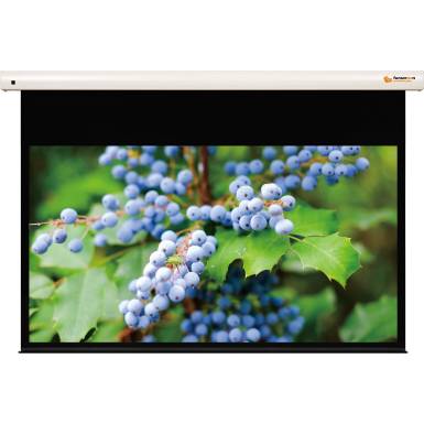 Funscreen Pro Matt White Motor 269x450 cm Format 16:10 Premium Plus SA funP.SA.161.452.MW Funscreen Pro Matt White Motor 269x450 cm Format 16:10 Premium Plus SA funP.SA.161.452.MW