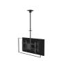 EQuip 39"-75" Ceiling Mount Dual Screen TV Bracket Black 650370