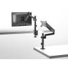 EQuip 17"-32" Monitor Desk Mount Bracket Black 650132