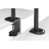 Digitus DA-90436 Universal monitor mount with notebook holder 32" Black DA-90436