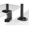 EQuip 17"-32" Articulating Dual Monitor Desk Mount Bracket Black 650157