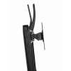 Gembird MS-D2-01 Double monitor desk stand height adjustable MS-D2-01