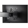 Gembird MS-D2-01 Double monitor desk stand height adjustable MS-D2-01