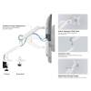 EQuip 17"-35" Premium Monitor Desk Mount Bracket White 650185
