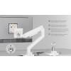 EQuip 17"-49" Heavy-Duty Monitor Desk Mount Bracket White 650181