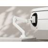 EQuip 17"-49" Heavy-Duty Monitor Desk Mount Bracket White 650181