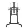 Gembird TVS-100T-01 Motorized height adjustable TV floor stand with caster wheels 55"-100" Black TVS-100T-01