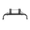 Gembird TVS-100T-02 Height adjustable TV floor stand with caster wheels 60"-100" Black TVS-100T-02