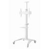 Gembird TVS-70T-02-W Aluminum TV floor stand with caster wheels 37"-70" White TVS-70T-02-W