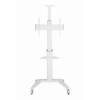 Gembird TVS-70T-02-W Aluminum TV floor stand with caster wheels 37"-70" White TVS-70T-02-W