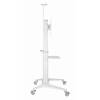 Gembird TVS-70T-02-W Aluminum TV floor stand with caster wheels 37"-70" White TVS-70T-02-W