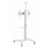 Gembird TVS-70T-02-W Aluminum TV floor stand with caster wheels 37"-70" White TVS-70T-02-W