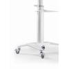 Gembird TVS-70T-02-W Aluminum TV floor stand with caster wheels 37"-70" White TVS-70T-02-W