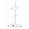 Gembird TVS-70T-02-W Aluminum TV floor stand with caster wheels 37"-70" White TVS-70T-02-W
