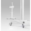Gembird TVS-70T-02-W Aluminum TV floor stand with caster wheels 37"-70" White TVS-70T-02-W