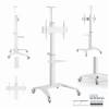 Gembird TVS-70T-02-W Aluminum TV floor stand with caster wheels 37"-70" White TVS-70T-02-W