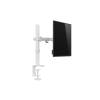 EQuip 17"-32" Articulating Monitor Desk Mount Bracket White 650166