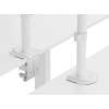 EQuip 17"-32" Articulating Monitor Desk Mount Bracket White 650166